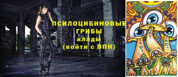 мет Елабуга
