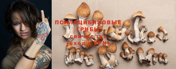 jwh Белокуриха